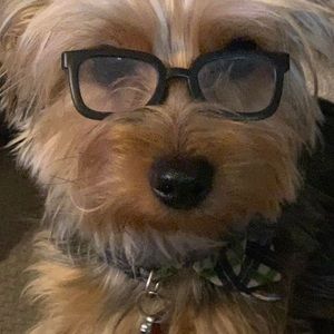 Meet your Posher, Noelle